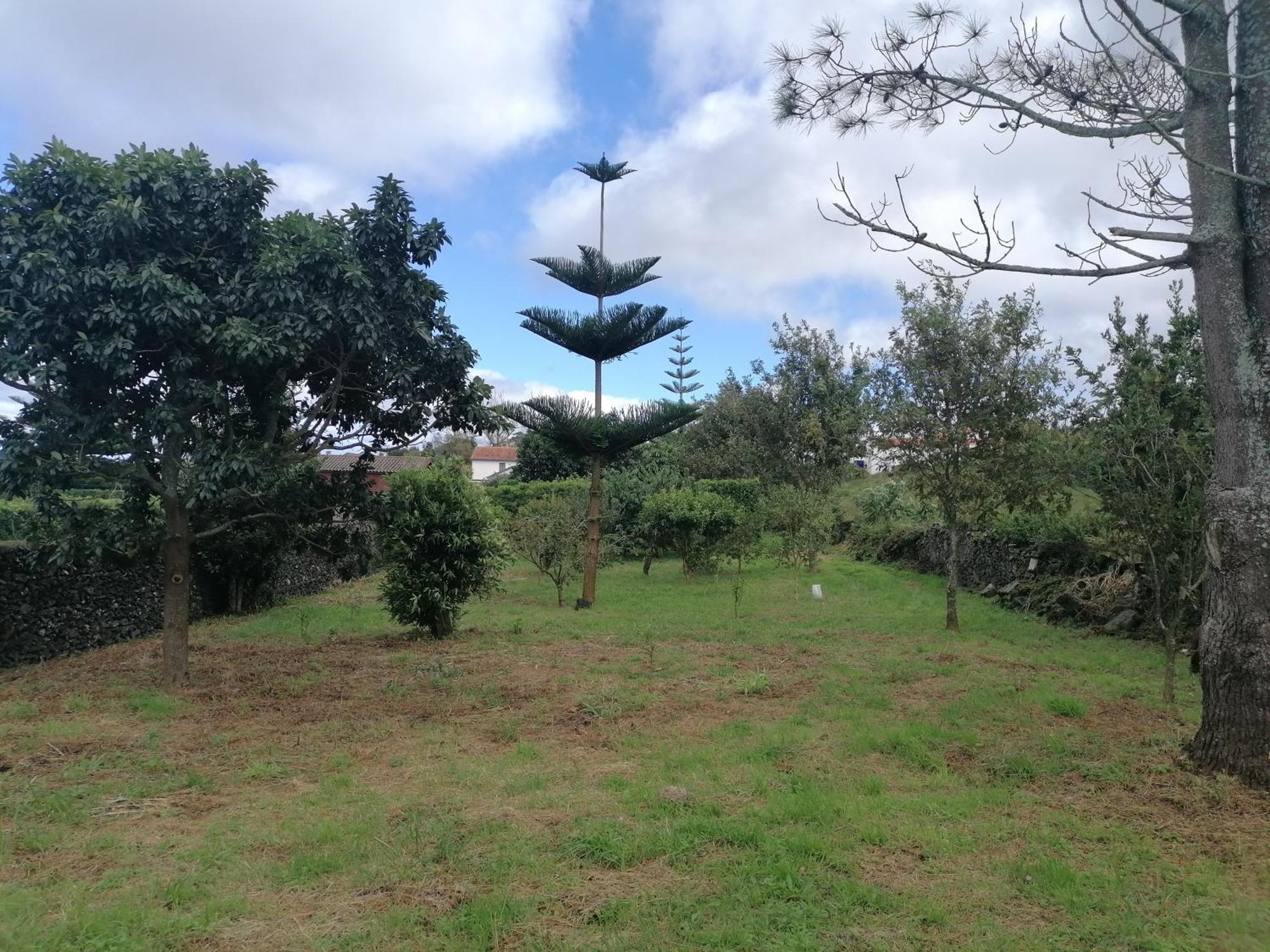 Espaco Roteiro De Mimos São Vicente Ferreira エクステリア 写真